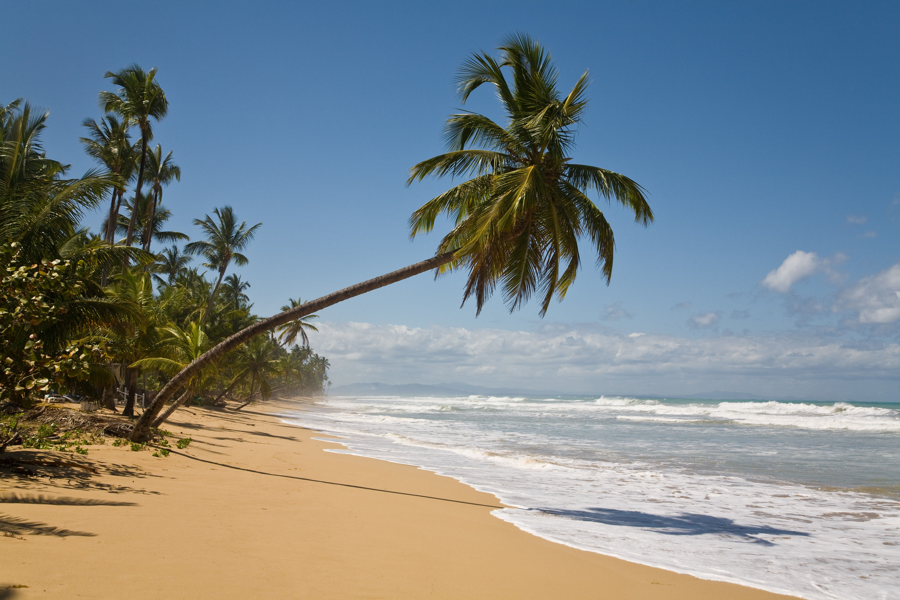 Dream beach No. 36