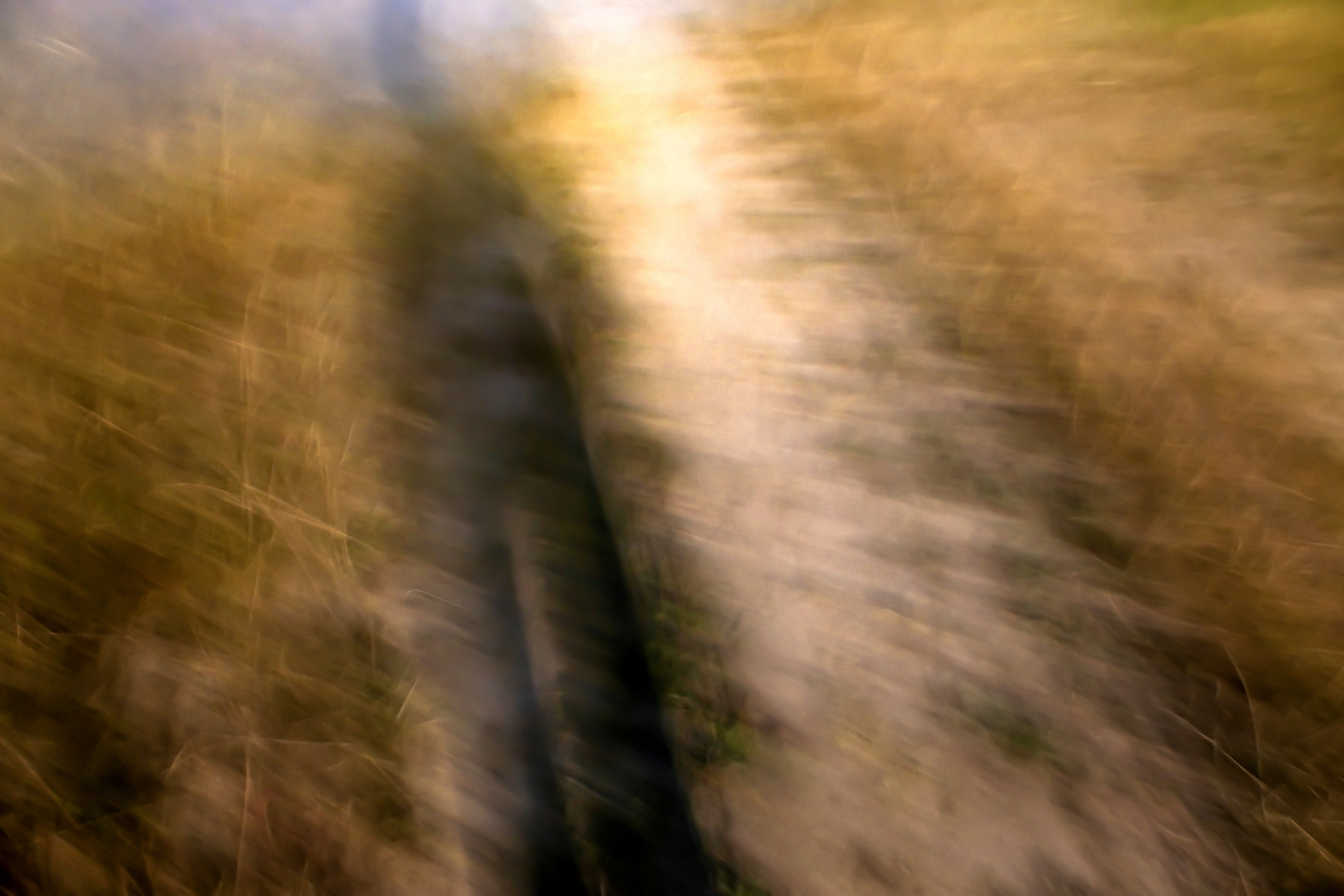 Fliehende Landschaft