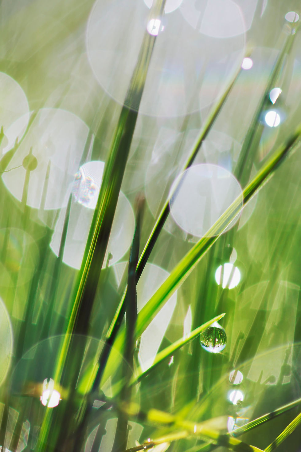 Miniaturbild: Tau No. 1