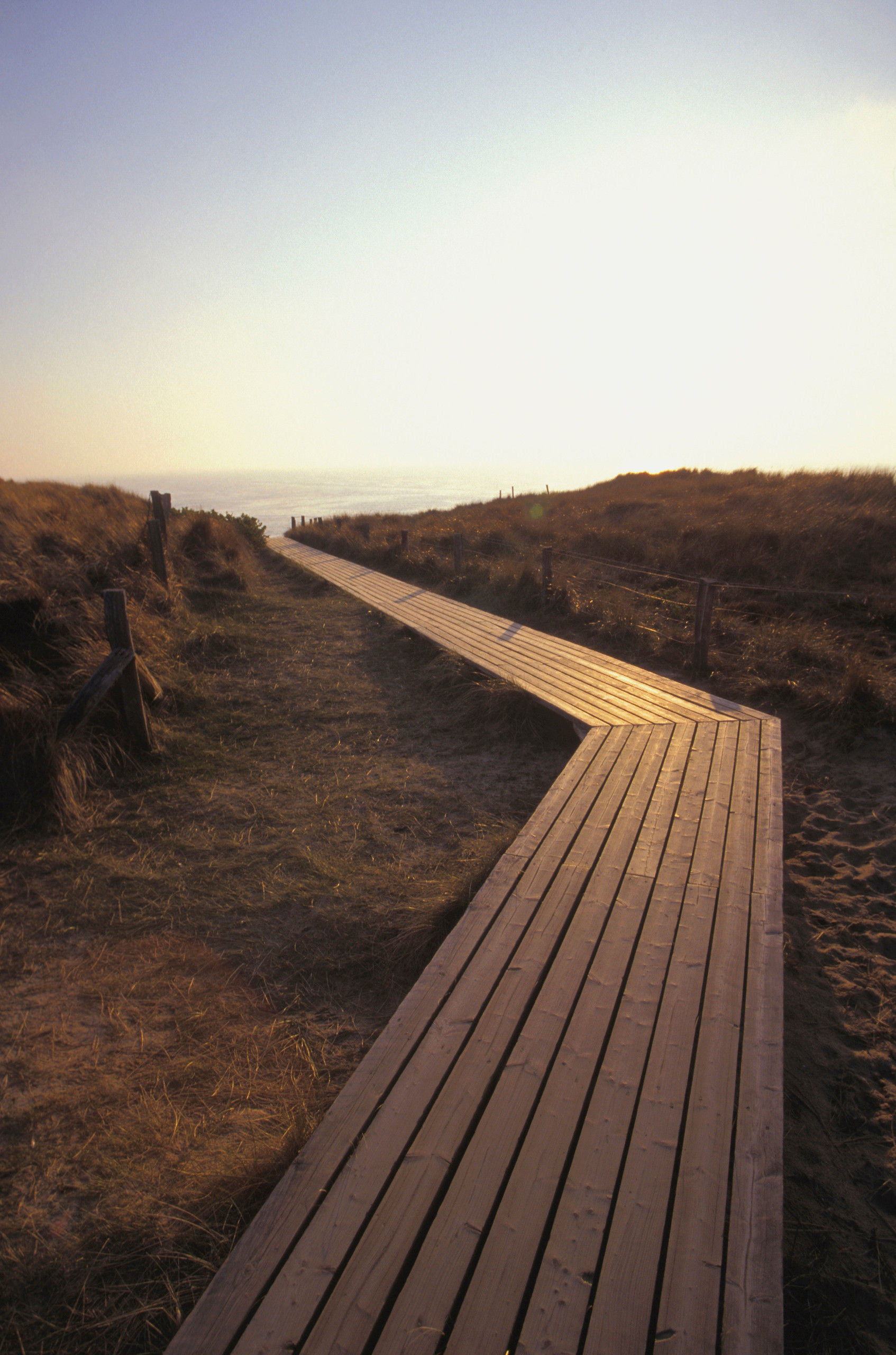 BT_SYLT Nr.: 00513MR