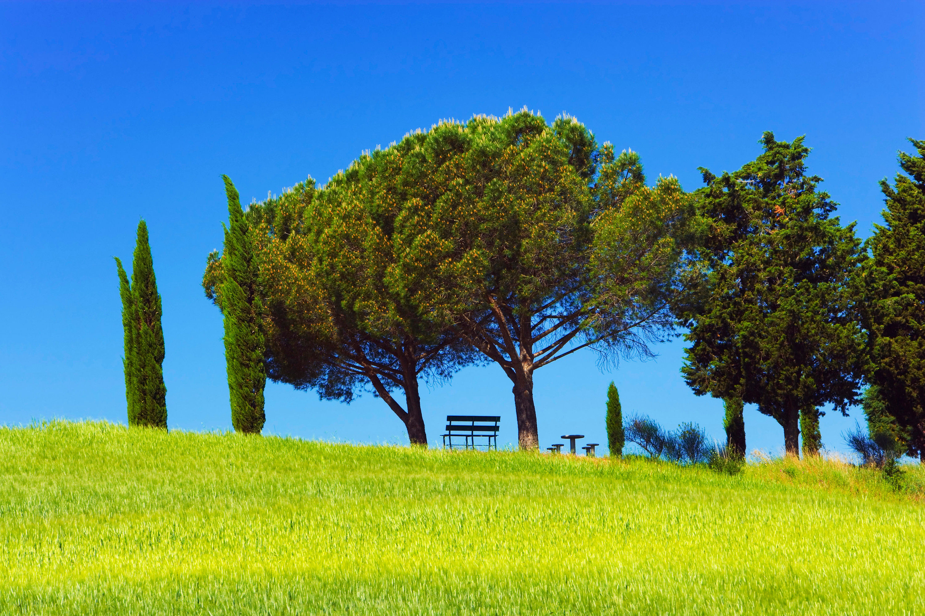 BT_TOSCANA Nr.  700-651130