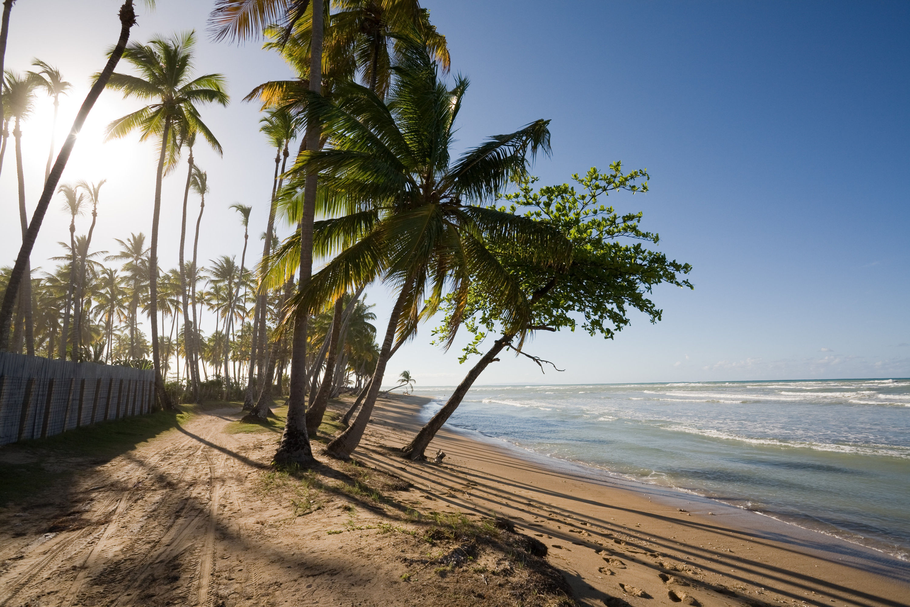 Dream beach No. 44