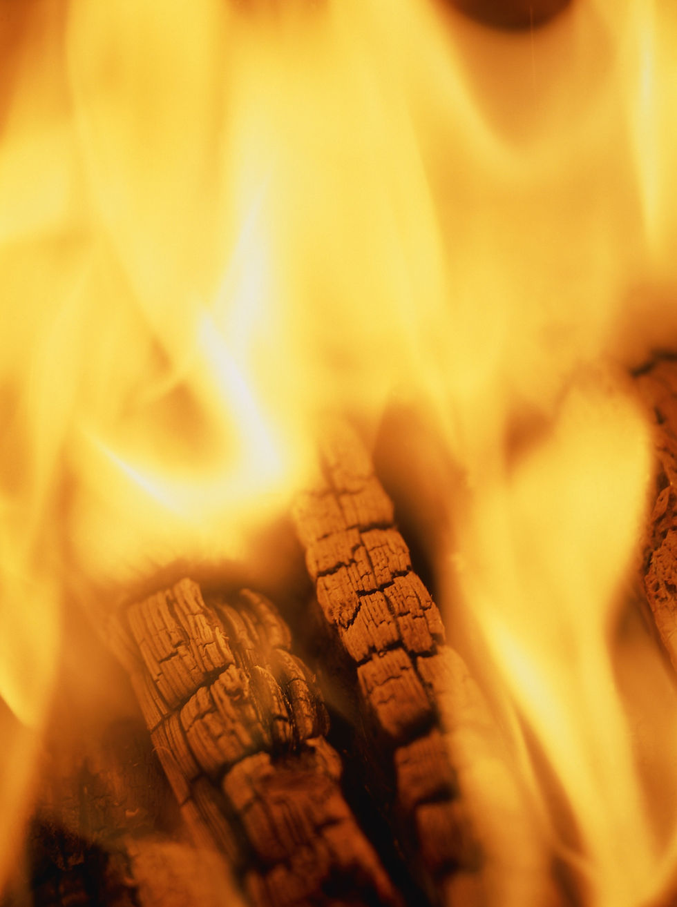 BT_Fire Nr. 42-15310044