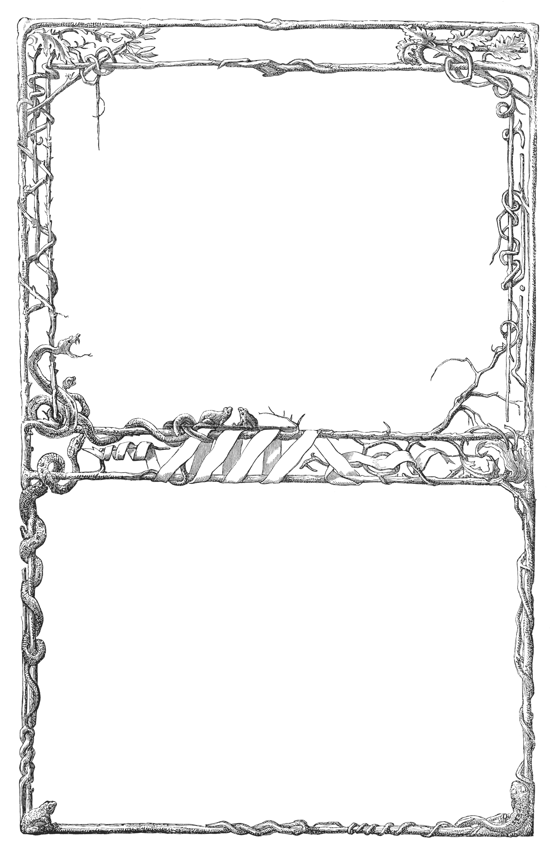 75 Vintage Ornate Borders No. 19