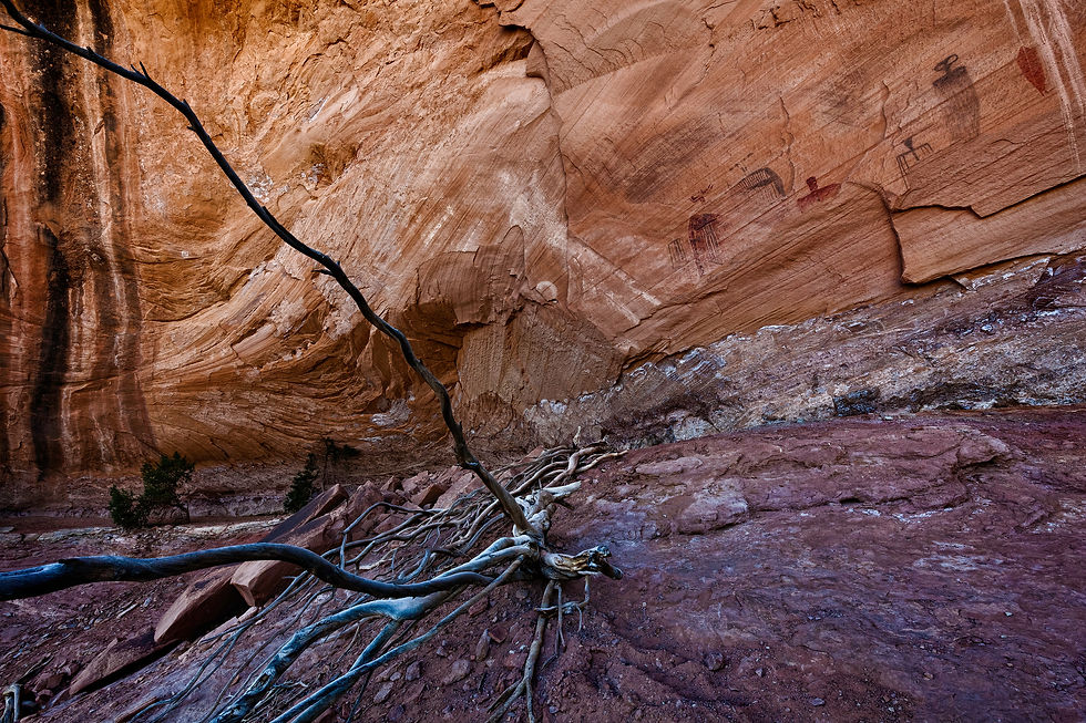 Höhlenzeichnungen No. 16