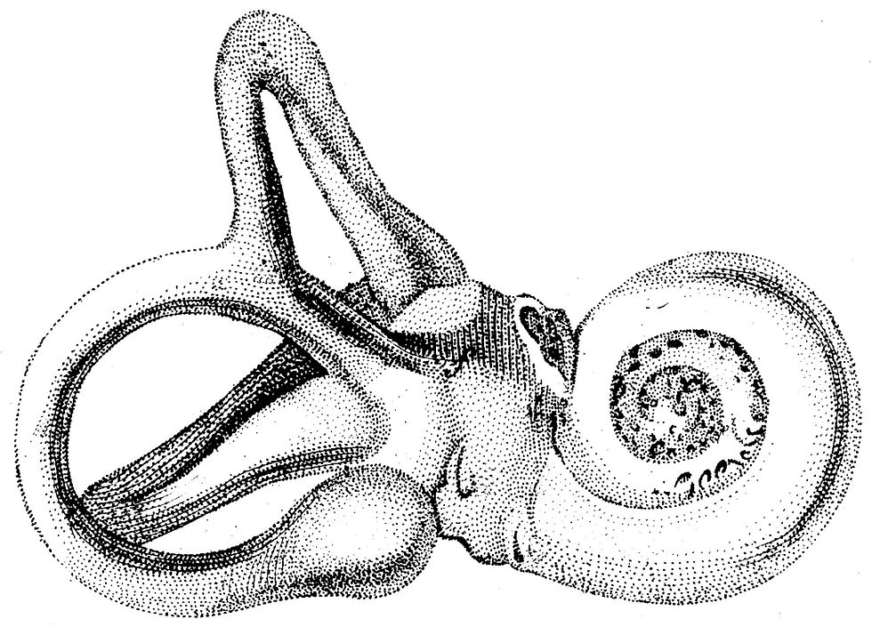 Human Body No. 10