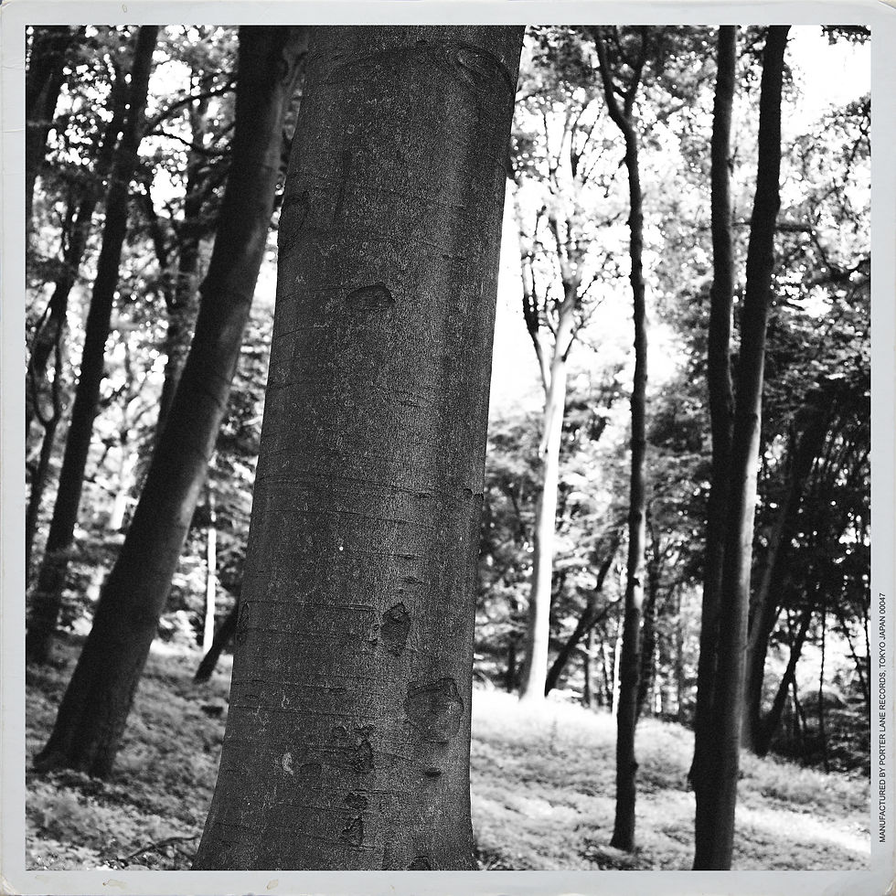 Vintage Art No. 3
