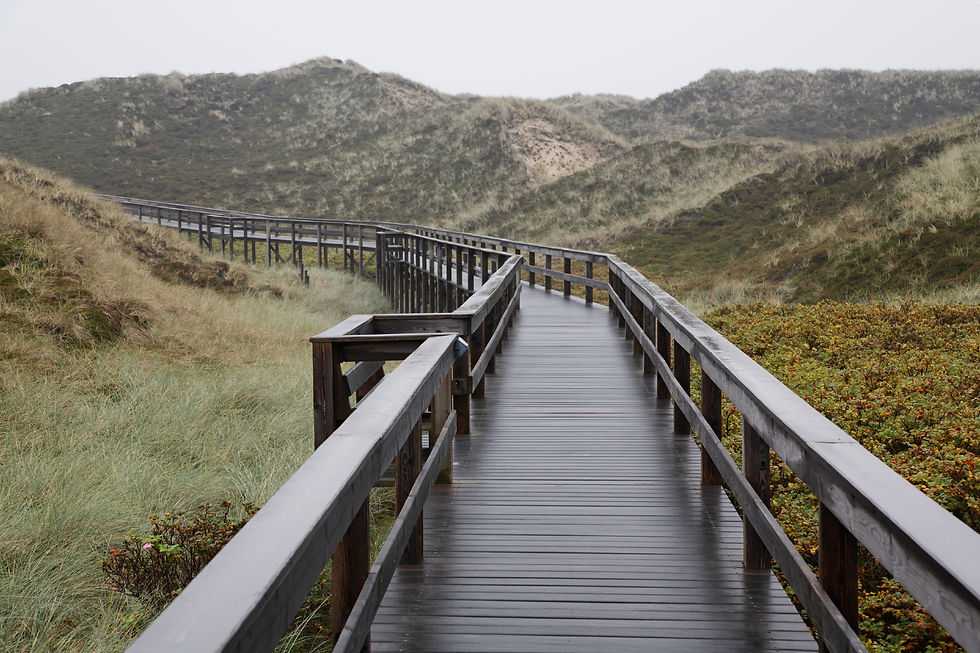 BT_SYLT-2 Nr. 42-29135695