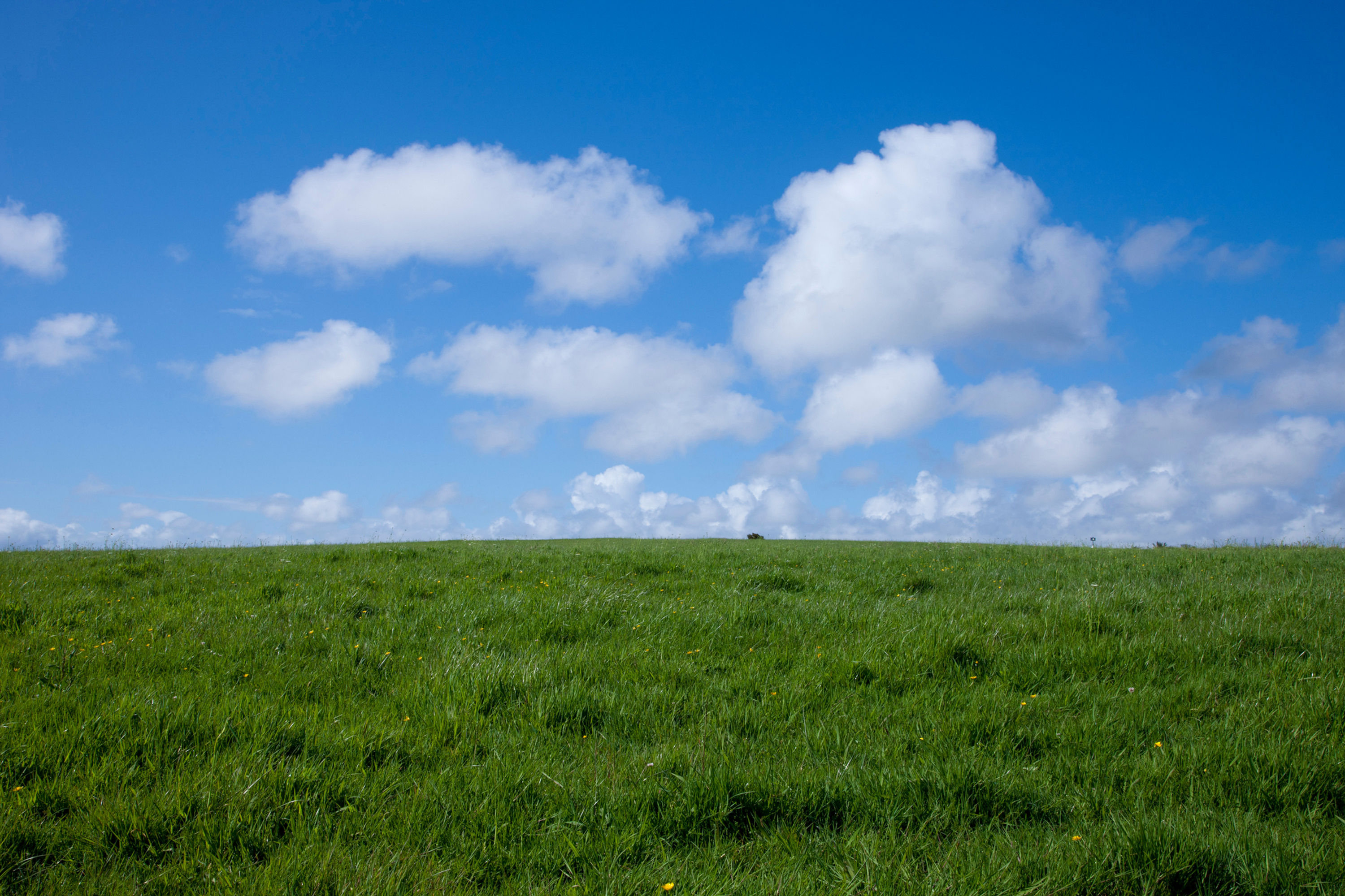 BT_FELDER Nr.: 42-36106651