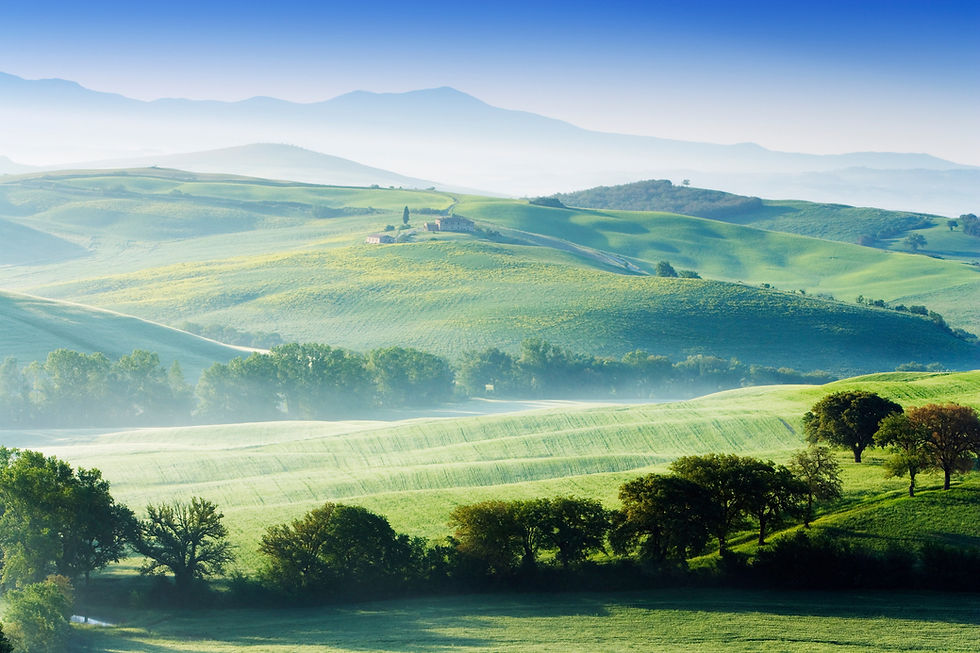 Thumbnail: BT_TOSCANA Nr.  42-16106620