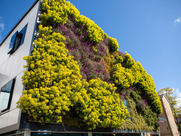 Happy Earth Day!