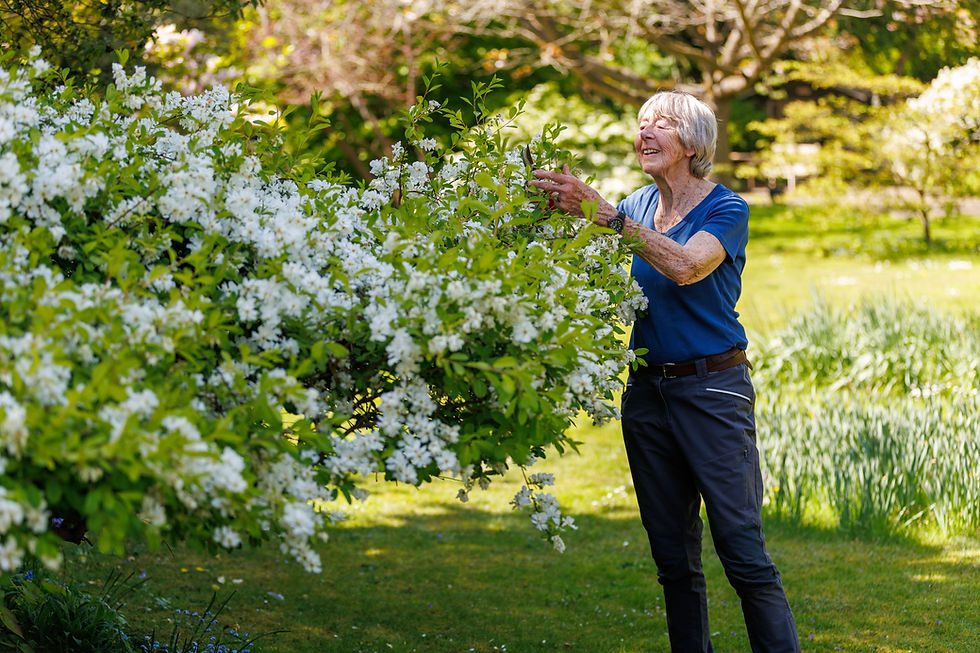 A volunteer working in the garden