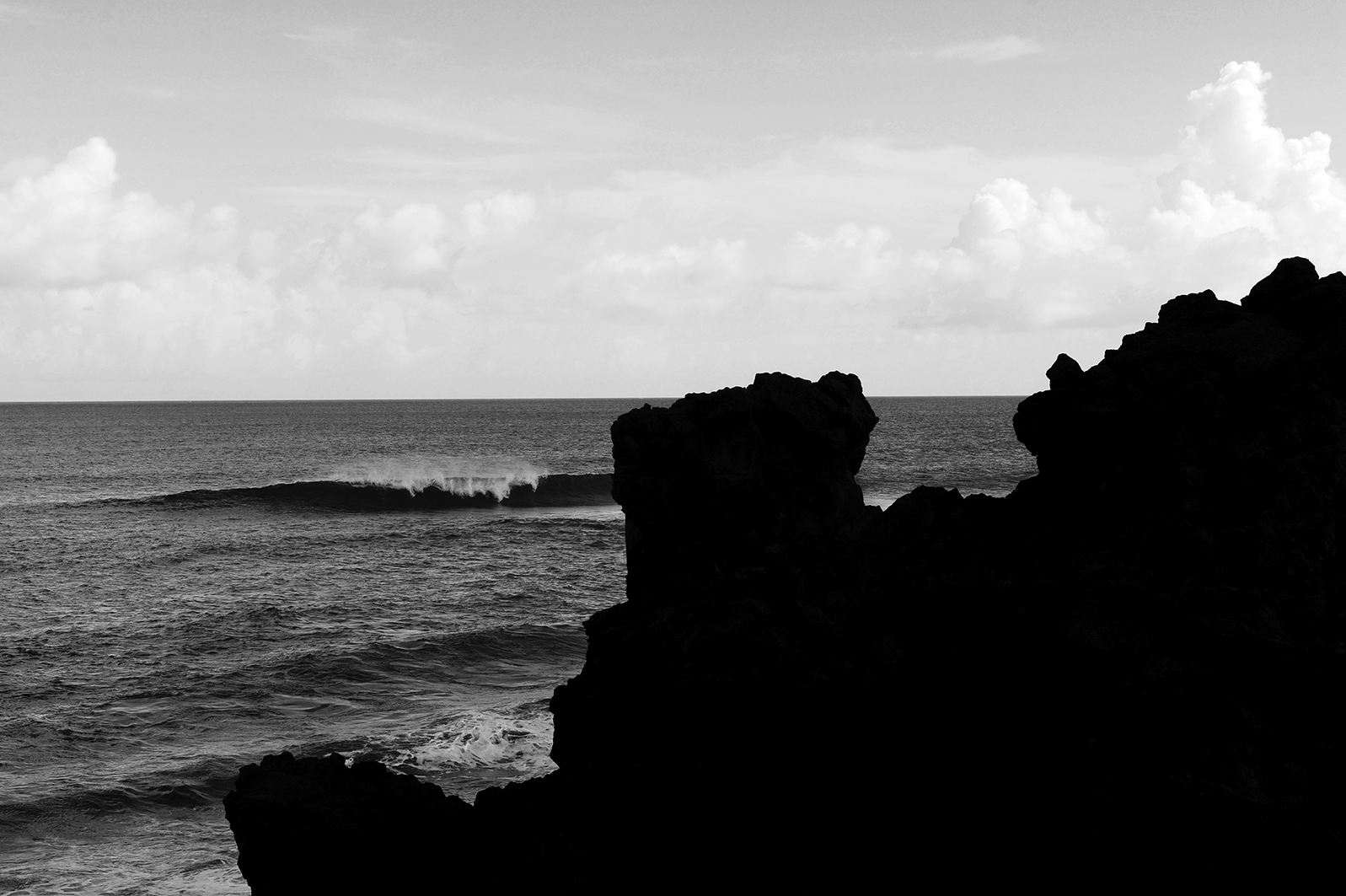 DSC_6387666.gif