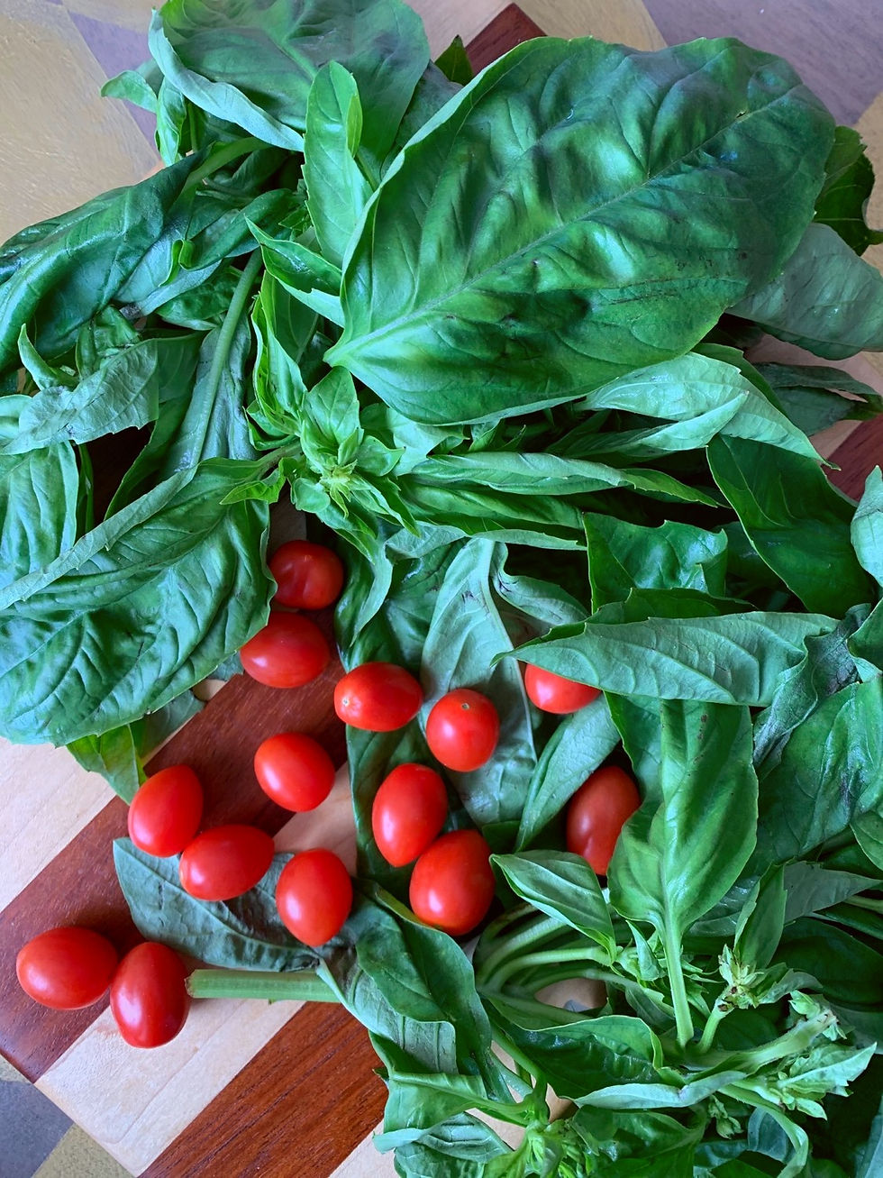 Sheltering With Plenty: Why Now is the Perfect Time to Try a Plant-Based Diet