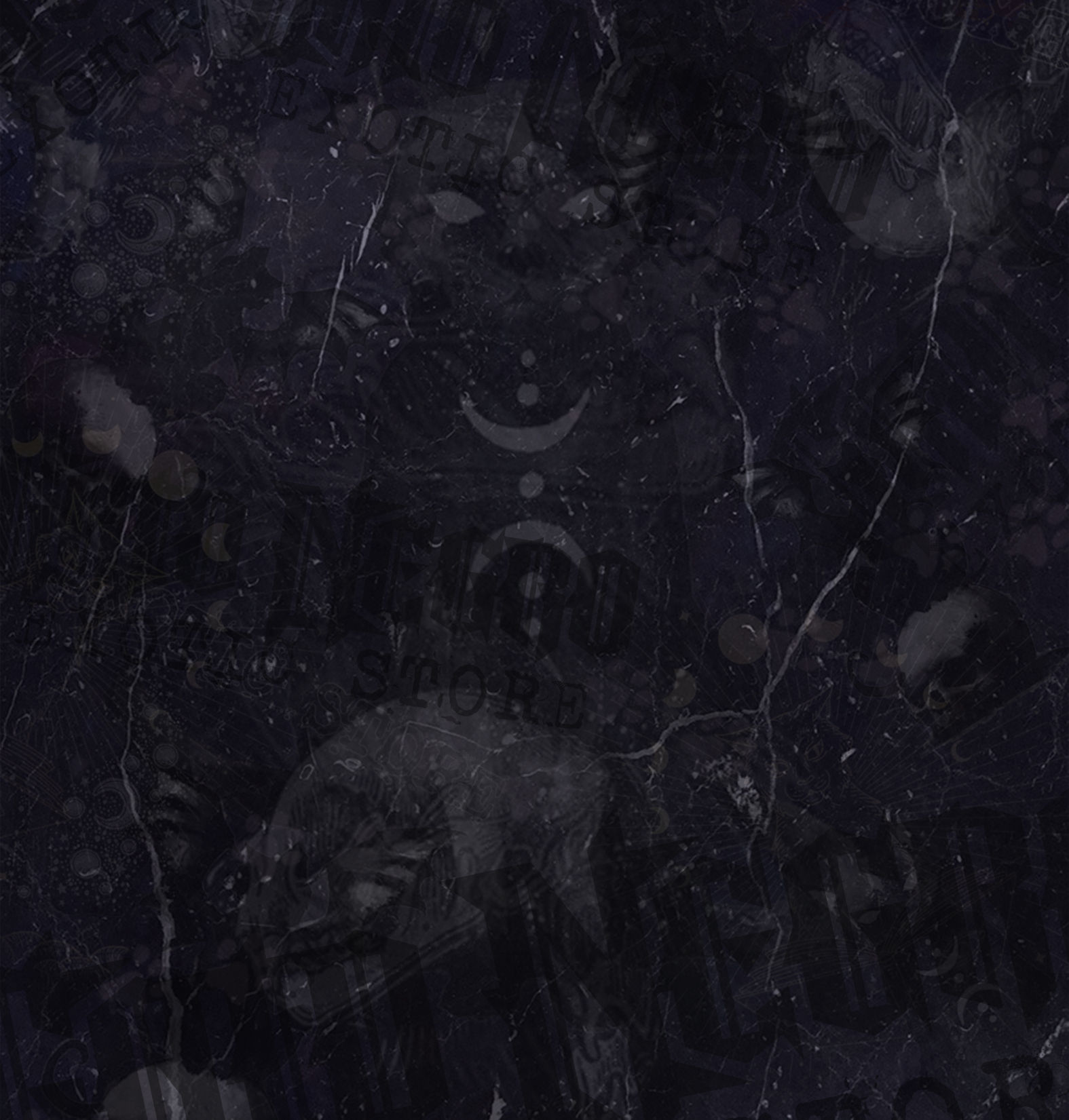 fondo gato 2_edited_edited.jpg