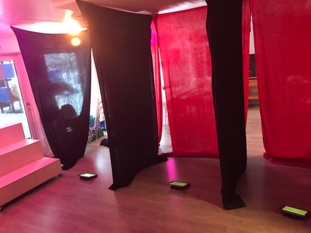 Kahoot om villmarksdyr