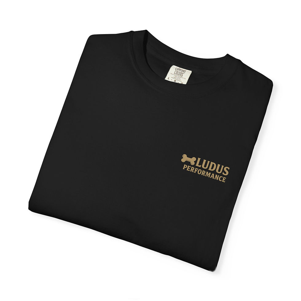 Thumbnail: Coach Leo Tee 