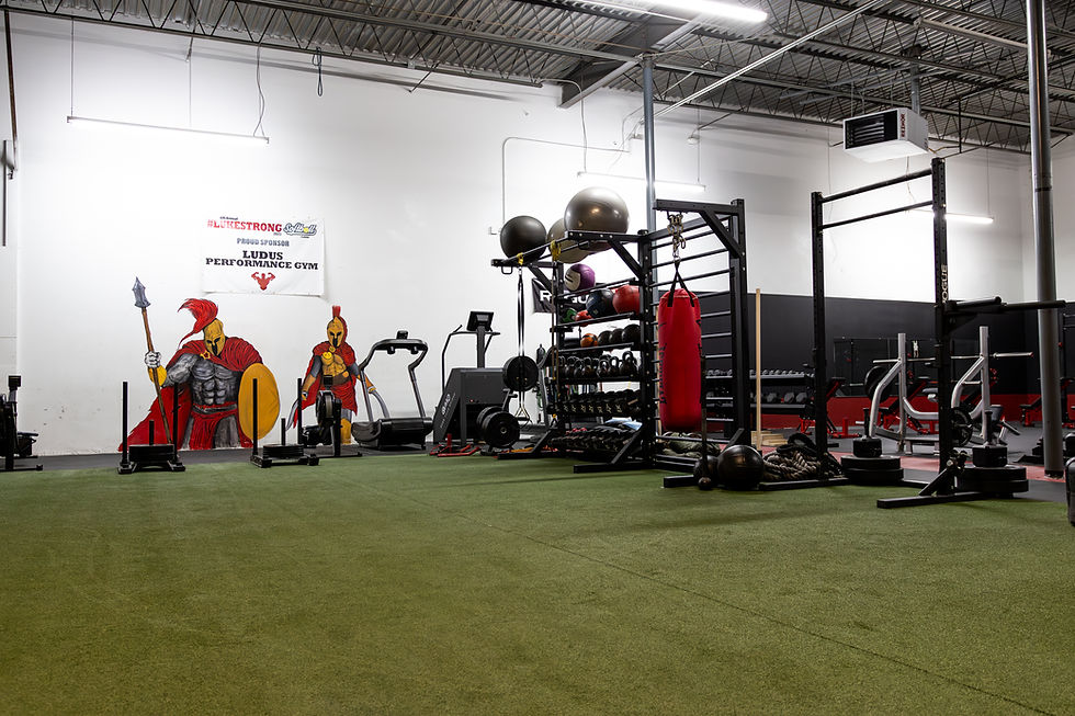 Ludus Updated Photos-31.jpg