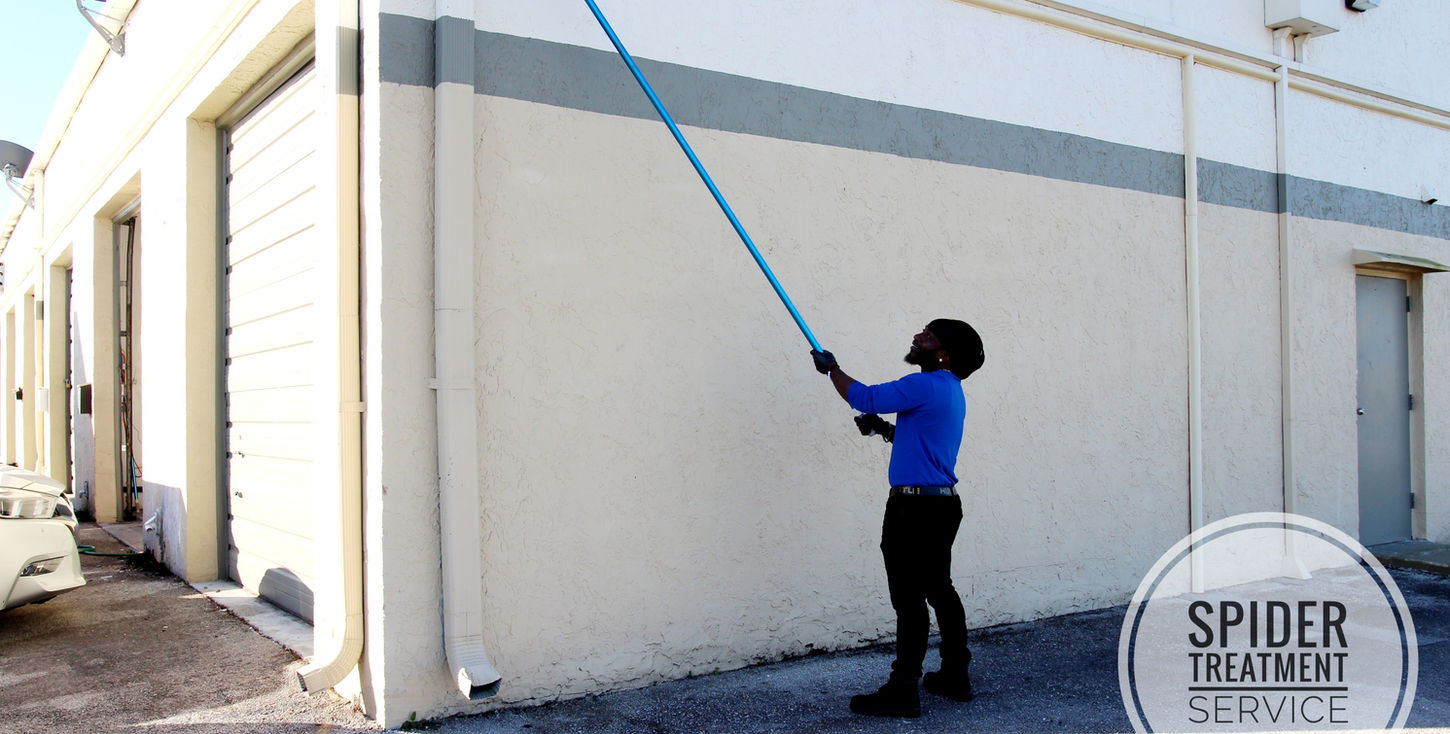 BugLife Pest Control Technician performing spider treatment