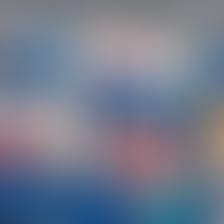 Legal Representation and Bid Assistance for Foreign Companies in Brazil