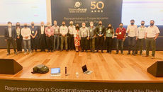 Canal Energia: Alphainfra movimenta mais de R$ 750 milhões em leilão de energia em São Paulo