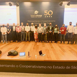Energy Channel: Alphainfra generates over R$ 750 million in energy auction in São Paulo.