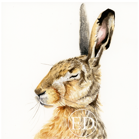 Sleepy Hare.png