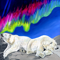 Arctic Aurora EDI.png