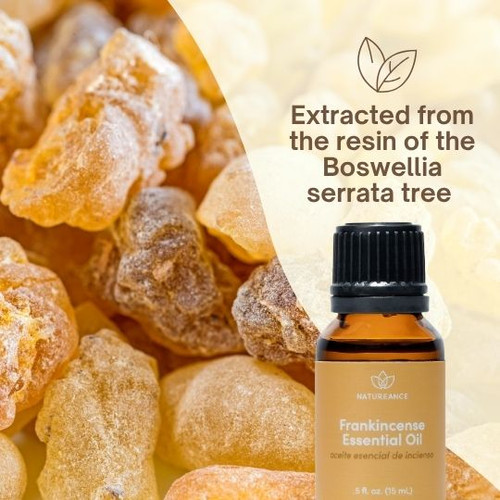 Frankincense Essential Oil | Natureance