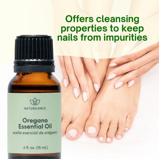 Thumbnail: Oregano Essential Oil