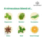 Thumbnail: Miracle Oil