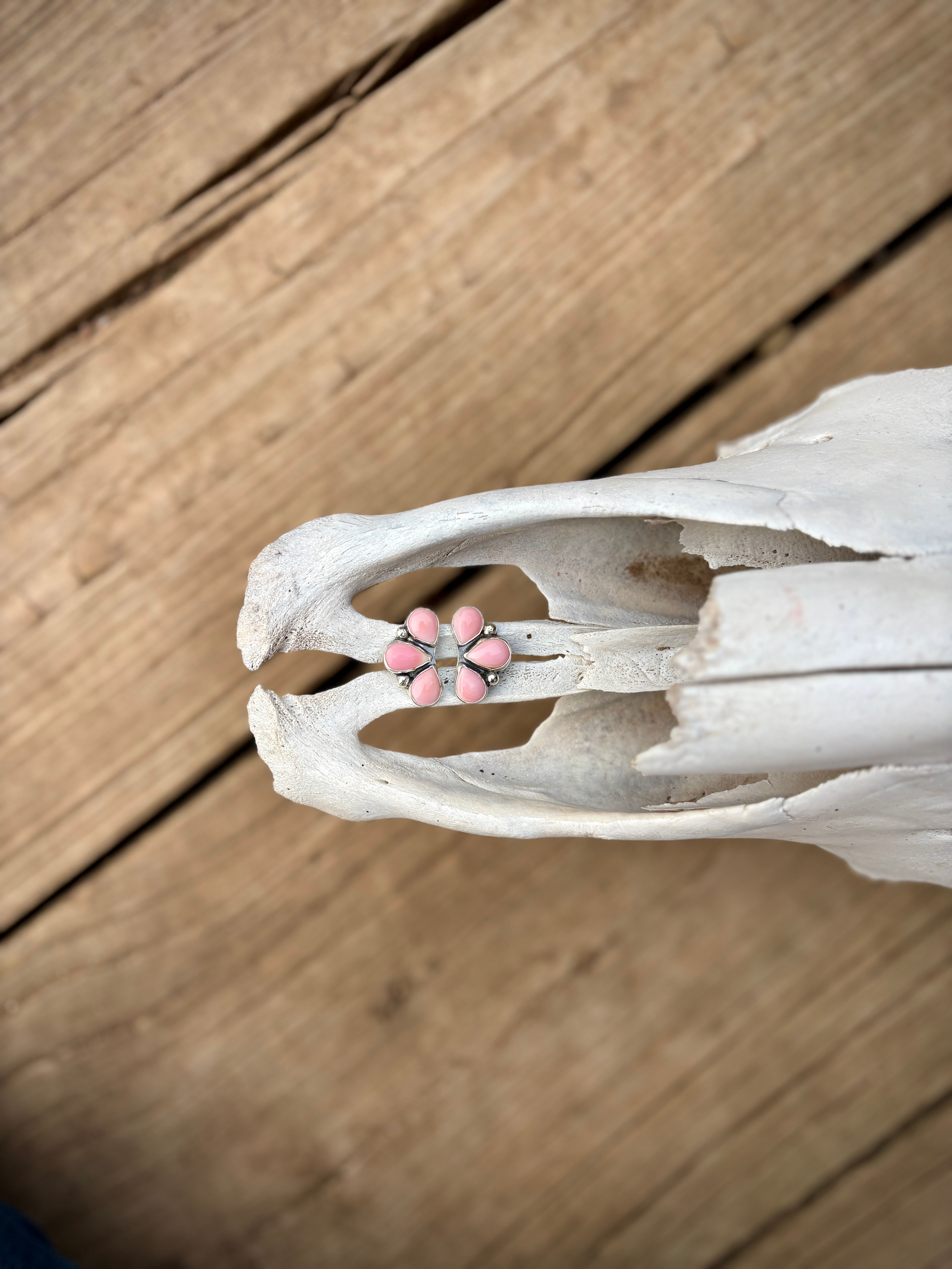 Pink Conch Studs