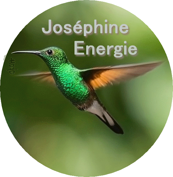 LOGO JOSEPHINE ENERGIE (2).gif