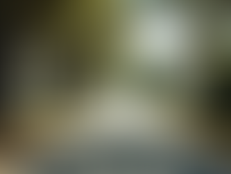 Home Buying Steps Bluffton: Your Guide to Buying a Home in Bluffton