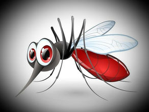 耳元で“ブ~ン”