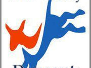 Welcome to the New and Improved Blair Dems Website