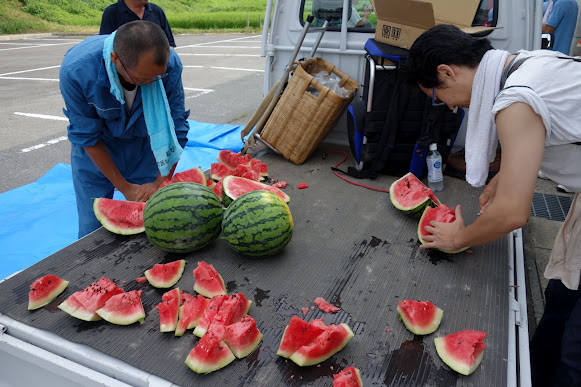 water melon