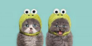 Good News, Bad News, and Legs that Never Quit