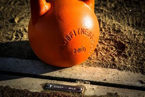 hedgespart2-16-of-62