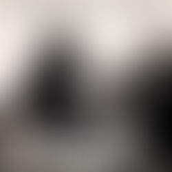 Attitude and Standards, this shit is important!