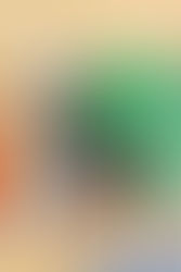 Enhanced Athleticism through Unconventional Kettlebell & Bodyweight Lifts