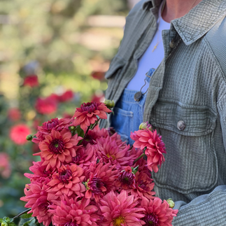 Cheers Dahlia & Ashley