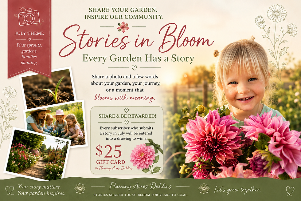 Stories in Bloom
