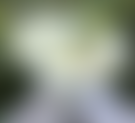 White Dahlia Bouquet