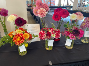 Ashley Market Bouquets