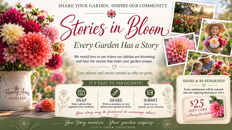 Stories in Bloom.png
