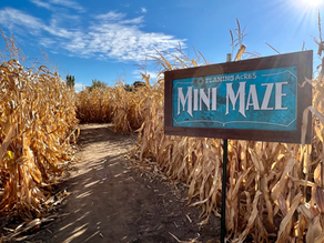 From Agritourism to Tubers: Our Farm’s Transformation