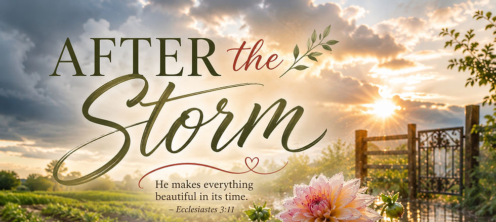 Storm Graphic