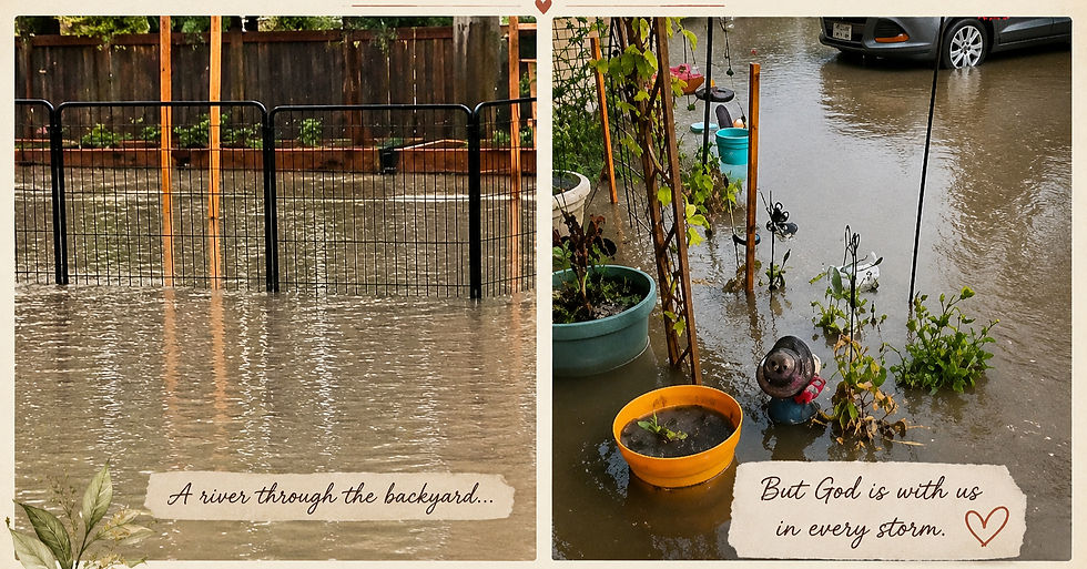 Storm Graphic