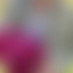 Uncle B Dahlia & Ashley